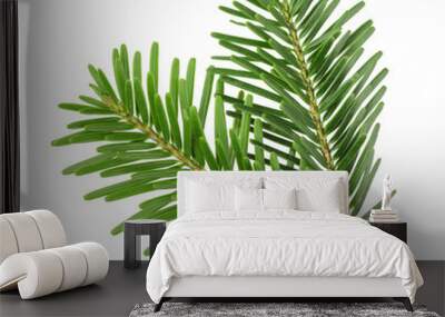 Fir tree branch isolated on white Wall mural