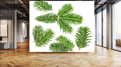 Fir tree branch isolated on white Wall mural