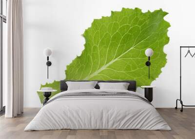 Green lettuce leaf isolated without shadow Wall mural