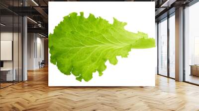 Green lettuce leaf isolated without shadow Wall mural