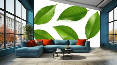 Orange leaves isolated on white background Wall mural