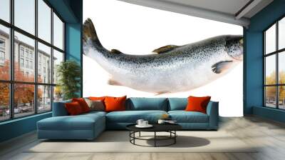 Salmon fish isolated on white without shadow Wall mural