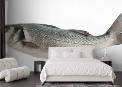 seabass fish isolated without shadow Wall mural