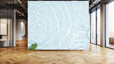 Blue water texture, surface with rings and ripples. Green leaves on water surface. Spa concept background. Flat lay, copy space. Wall mural