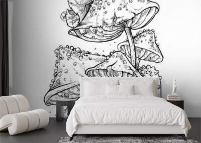 Drawing poisonous mushrooms on a thin stalk isolated on a white Wall mural