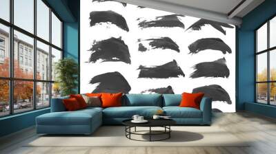 Realistic strokes painted with black paint isolated on a white b Wall mural