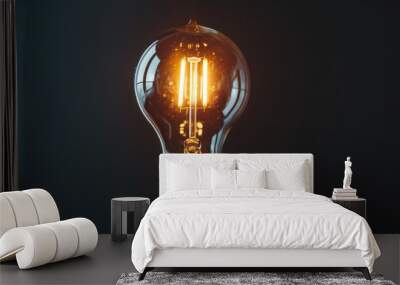 Simple shot of a lit lightbulb against a dark background. Wall mural