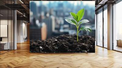 A single green plant sprout growing in the soil with an out of focus city skyline in the background. Wall mural