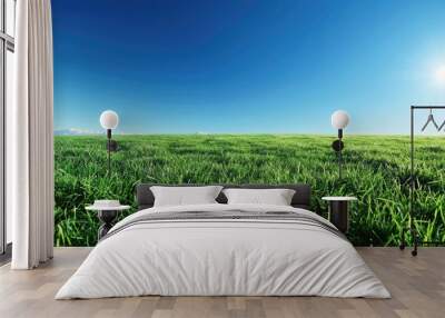 Lush green meadow under clear blue sky Wall mural