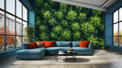 Overhead view of a lush green forest canopy. Wall mural