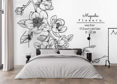 Sketch Floral Botany set. Magnolia flower and leaf drawings. Black and white with line art on white backgrounds. Hand Drawn Botanical Illustrations.Vector.Vintage styles. Wall mural