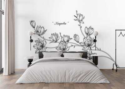 Sketch Floral Botany set. Magnolia flower and leaf drawings. Black and white with line art on white backgrounds. Hand Drawn Botanical Illustrations.Vector.Vintage styles. Wall mural