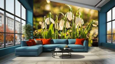 Snowdrops first spring flowers. Wall mural