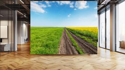 Yellow field rape, young green wheat and blue sky. Wall mural