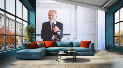 Senior business man portrait. Wall mural