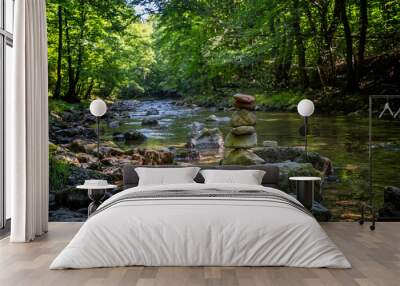 beautiful river in the green forest. place for meditation  Wall mural