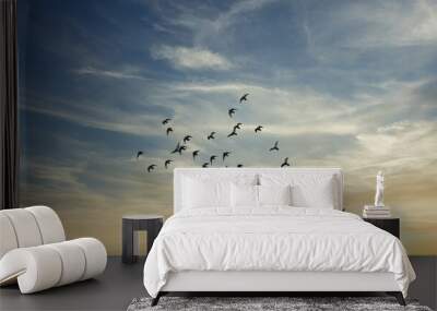 birds flying over the sunset sky  Wall mural