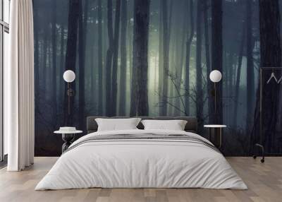 misty autumn forest  Wall mural