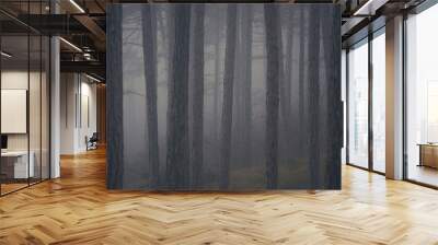 misty autumn forest in the morning Wall mural