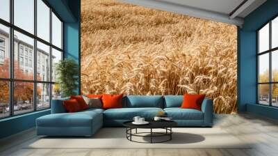 summer wheat field  Wall mural