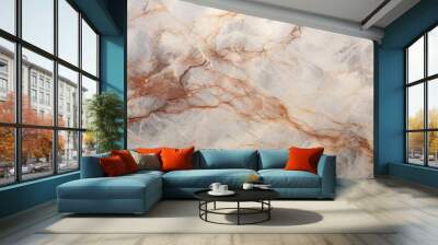 Natural gray marble luxury and elegant background texture design surface Wall mural