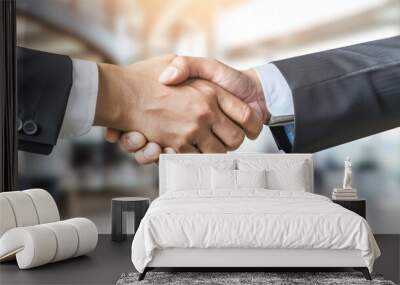 Two Business Professionals Shaking Hands in a Deal or Agreement Wall mural