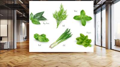 Green herbs set isolated on white background. Thyme, rosemary, mint, oregano, basil, sage, parsley, dill, bay leaves, leek spices vector illustration. Herbal seasoning ingredients for cooking Wall mural