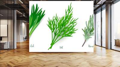 Green herbs set on white background. Thyme, rosemary, parsley, dill, leek spices vector illustration. Herbal seasoning ingredients for cooking. Healthy cuisine condiments Wall mural