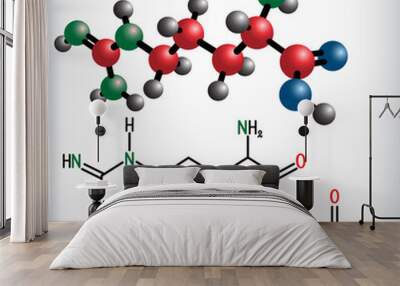 Arginine (Arg, R) amino acid molecule, it is used in the biosynthesis of proteins . Structural chemical formula and molecule model Wall mural