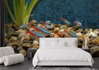 aquarium Wall mural