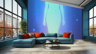 Beautiful images for your designs! Wall mural