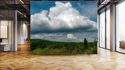 stormy clouds over green forest in summer season Wall mural