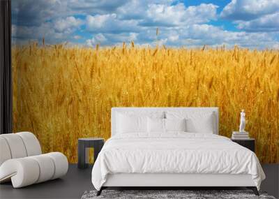 Photo of yellow wheat field with blue sky and clouds at summer Wall mural