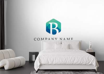 letter B modern hexagon logo template Wall mural