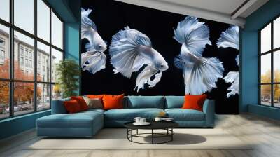 Rhythmic movement of dumbo ear half moon long tail Betta,Siamese fighting fish, Betta fighting motion Wall mural