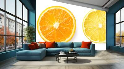 Citrus fruit slices isolated on white background Wall mural