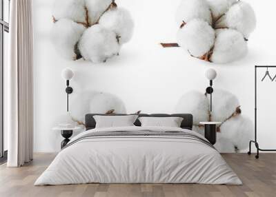 Set of various cotton flowers Wall mural