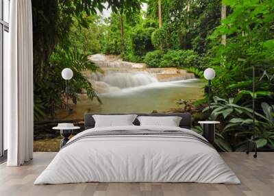 Kao Fu Waterfall at Lampang Thailand Wall mural