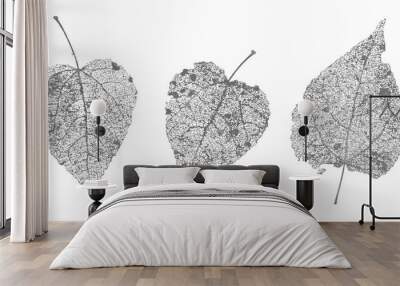 Set of black gray skeletons leaves on white background. Fallen foliage for autumn designs. Natural leaf aspen and birch. Vector illustration Wall mural