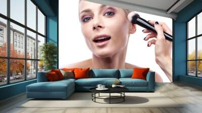 The work of a professional makeup artist. The beautiful young woman's face and brush the powder in close-up. Wall mural