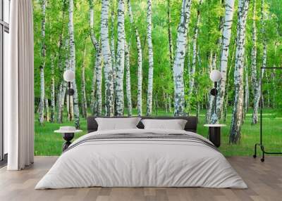 birch grove in the summer Wall mural