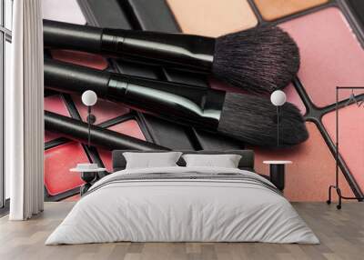 eye shadow palette with brush Wall mural