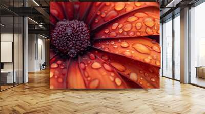 Close-up of a vibrant red flower with water droplets Wall mural