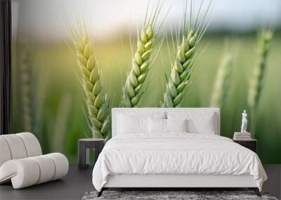 Close-up of green wheat stalks in a field Wall mural