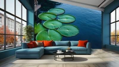 Floating lily pads on a serene lake Wall mural