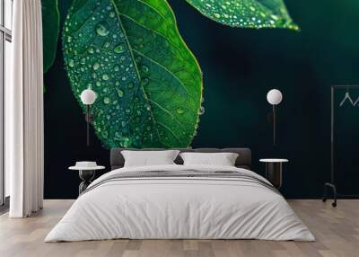 Fresh dew drops on vibrant green leaves in nature Wall mural