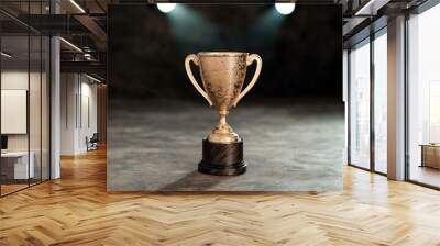 golden trophy award on dark background Wall mural