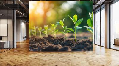 Young plants growing in soil with sunlight Wall mural