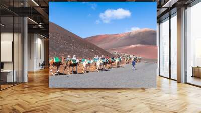 caravan walking in timinfaya national park, lanzarote, canary islands, spain Wall mural