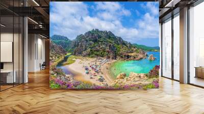 Landscape of Costa Paradiso with Spiaggia di Li Cossi, Sardinia Wall mural